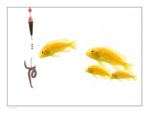 方案最新趋势解读